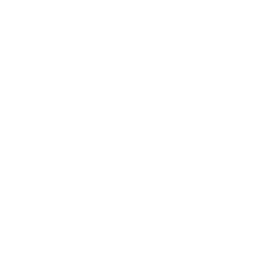 see-it-in-action